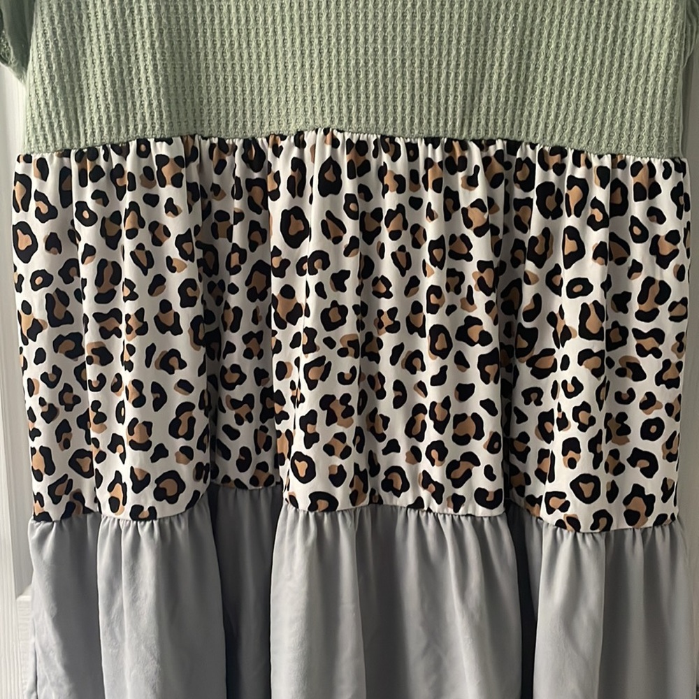 Leopard/Color Block Dress - Picture 2 of 3